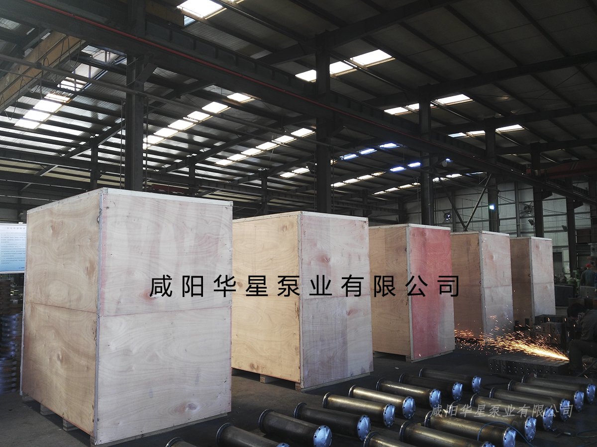 陶瓷(ci)柱塞(sai)泵發(fa)貨視(shi)頻