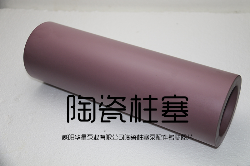 柱塞泵的(de)陶瓷柱塞(sai)