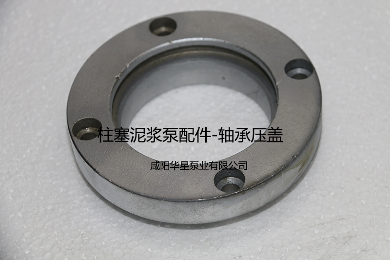 陶(tao)瓷柱(zhu)塞泵(beng)軸承(cheng)壓蓋(gai)