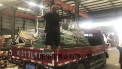 陶(tao)瓷柱塞泵(beng)發貨給客(ke)戶