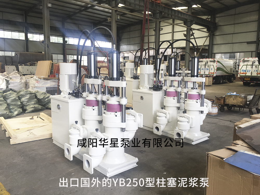 出口(kou)國外的YB250型(xing)陶瓷柱塞(sai)泵