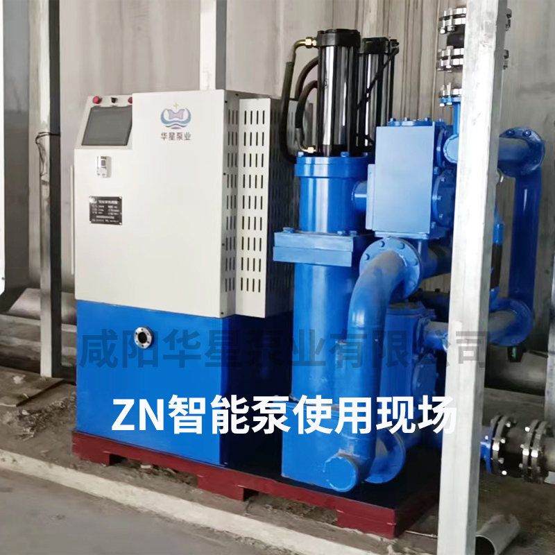 陶瓷柱(zhu)塞泵-智(zhi)能變頻(pin)泵安裝(zhuang)培訓現(xian)場